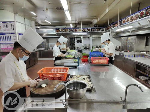 筑牢食品安全防線，營造放心消費(fèi)環(huán)境——南寧全力提升餐飲服務(wù)食品安全保障水平與家用電器安裝服務(wù)協(xié)同發(fā)展